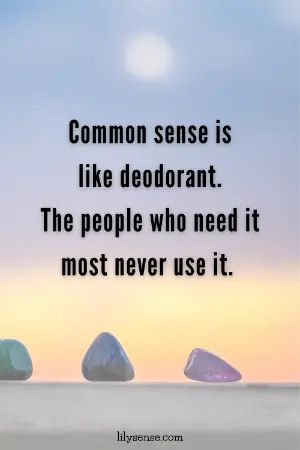 Aesthetic photo of a sunset with the quote Common sense is like deodorant. The people who need it most never use it.