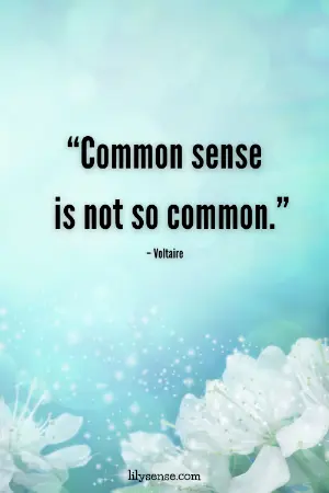 Aesthetic photo with the quote "common sense is not so common"