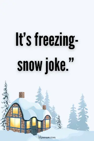 It is freezing-snow joke