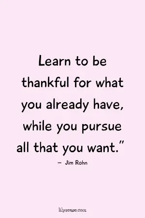 Learn to be thankful for what you already have, while you pursue all that you want.