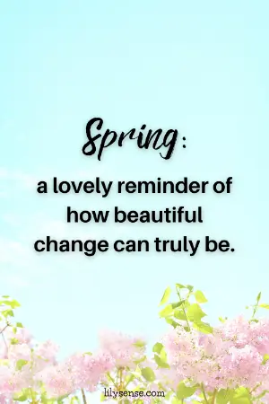 Spring: a lovely reminder of how beautiful change can truly be.