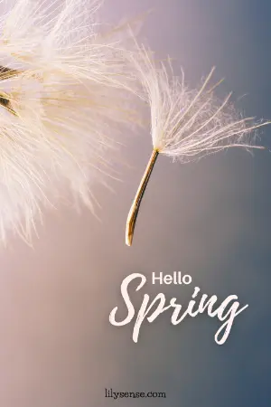 A photo of a dandelion seed blowing away with the caption welcome spring
