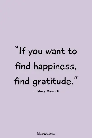 If you want to find happiness find gratitude