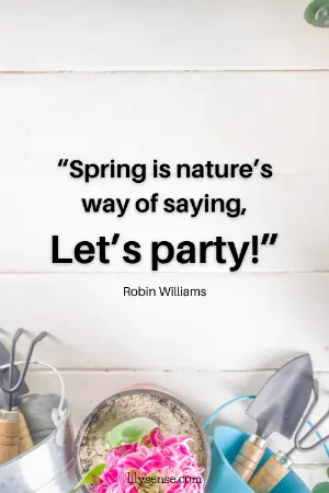 Spring is nature's way of saying, let's party