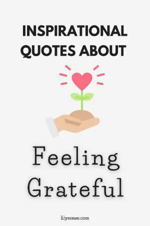 Inspirational quotes about feeling gratitude