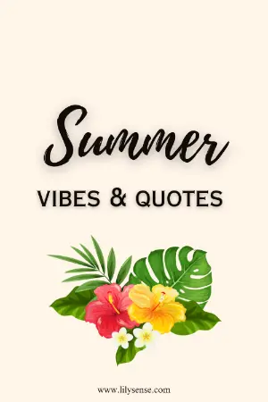 Summer vibes and quotes