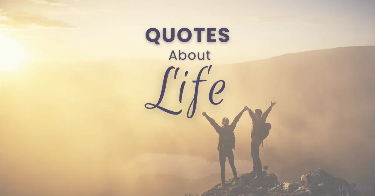 A Collection of quotes about life