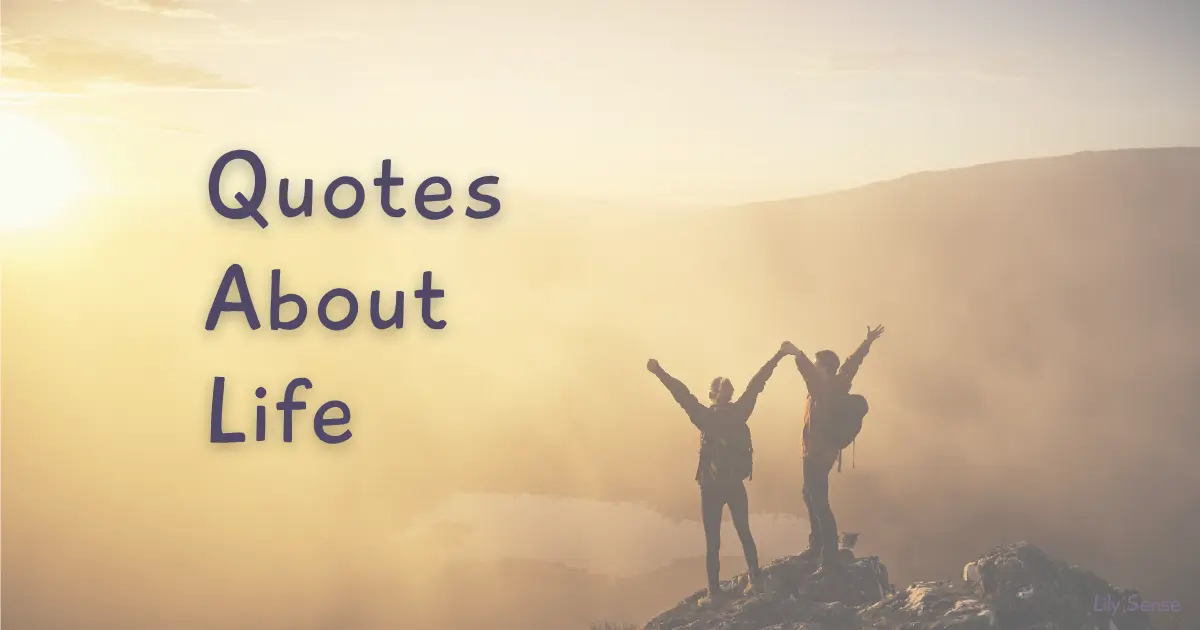 A Collection of quotes about life. The caption on a photo of two people standing on top of a mountain