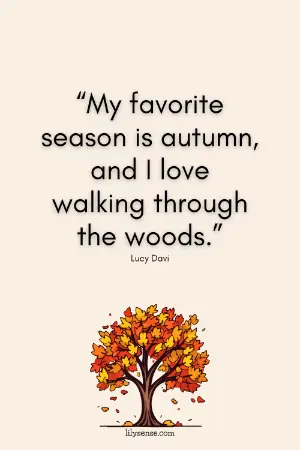 My favourite season is autumn and I love walking through the woods