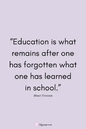 education is what remains after one has forgotten what one has learned in school.