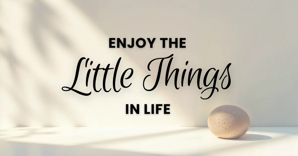 Aesthetic photo of a wall with a shelf in front holding a simple stone. The caption reads "Enjoy the little things"