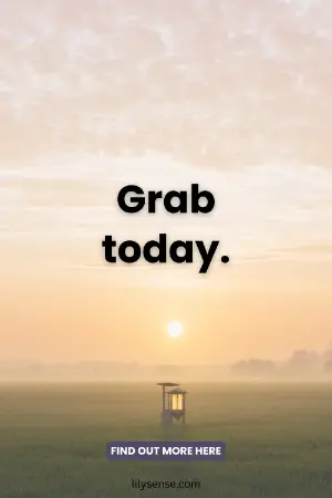 Beautiful sunrise photo with the caption Grab today