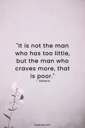 It is not the man who has too little, but the man who craves more, that is poor.