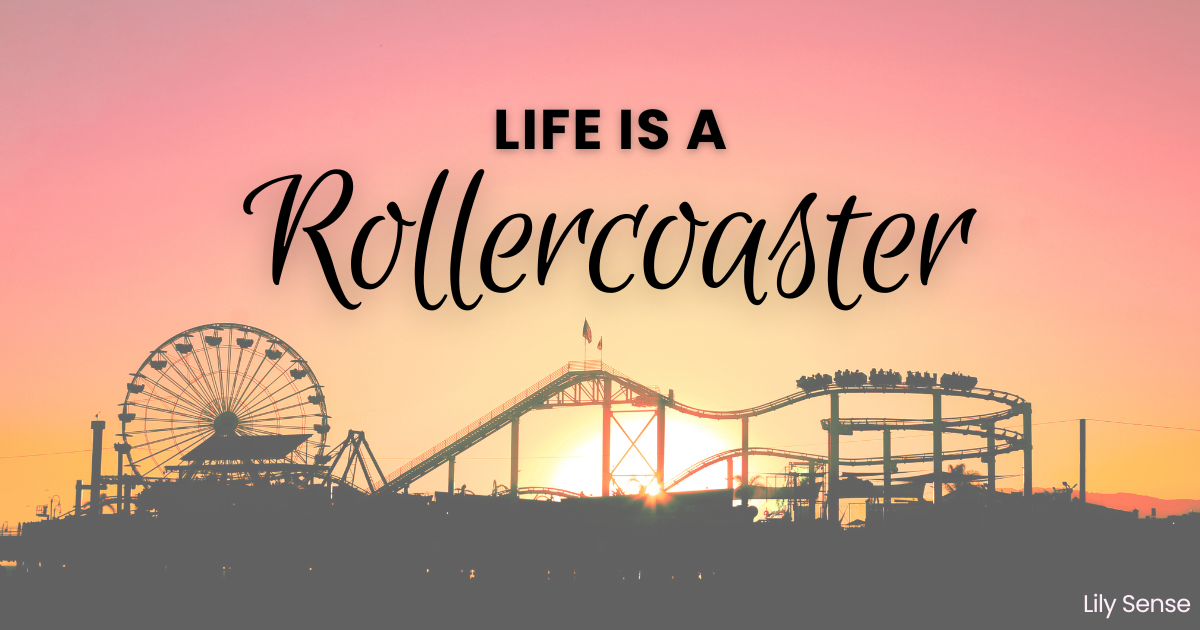 aesthetic photo of a rollercoaster in front of sunset with the caption life is a rollercoaster