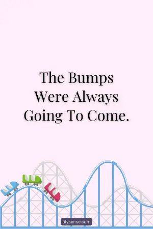 A rollercoaster image with the caption The bumps were always going to come