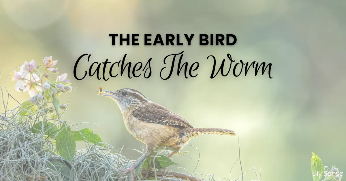 Photo of a bird wit ha worm in its mouth with the caption the early bird catches the worm