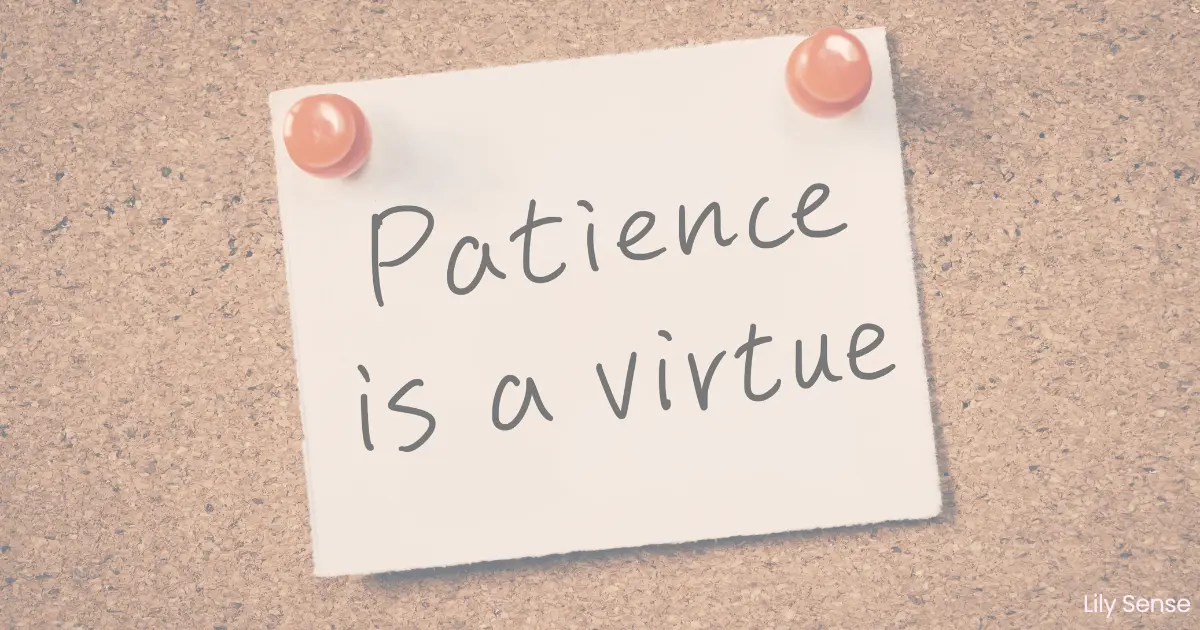 A photo of a corkboard and a note pinned on it with the caption patience is a virtue